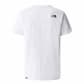 The North Face Herren T-Shirt Simple Dome Tee 87NG 