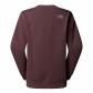The North Face Damen Pullover W Drew Peak Crew 89EF-FAI L Tawny Quartz/High Rise | L