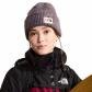 The North Face Mütze Salty Bae Lined Beanie 8CHM 