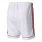 adidas Herren Short Squadra 17 