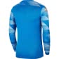 Nike Herren Torwarttrikot Park IV GK CJ6066 