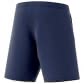 adidas Herren Training Short Core 18 