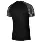 Nike Herren Trikot Dri-FIT Academy Jersey SS DH8031 