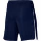Nike Herren Short Dri-FIT League 3 Shorts DR0960 