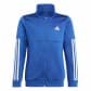 adidas Kinder Trainingsanzug 3-Streifen Team HM2141 152 Royal Blue/White | 152