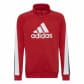adidas Kinder Trainingsanzug Colorblock Big Badge of Sport 