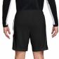 Nike Herren Short Academy Dri-FIT IF1448 
