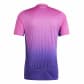 adidas Herren DFB Away Trikot EM 2024 IP8158 XXL Semi Lucid Fuchsia/Team Co Purple | XXL