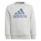 adidas Kinder Jogginganzug Essentials Logo Fleece Jogger IS2475 116 Medium Grey Heather/Prloin | 116