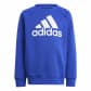 adidas Kinder Jogginganzug Essentials Logo Fleece Jogger 