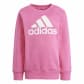 adidas Kinder Jogginganzug Essentials Logo Fleece Jogger 