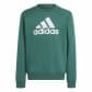 adidas Kinder Trainingsanzug Big Logo Fleece TS 