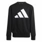 adidas Kinder Trainingsanzug J BL FL JOG 240 