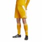 adidas Herren Short Tiro 24 Short 