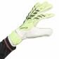 adidas Torwarthandschuhe Predator GL Training 