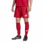 adidas Herren Short Tastigo 25 SHO M JN7157 S Team Power Red2 | S