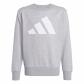 adidas Kinder Trainingsanzug J BL FL JOG 240 