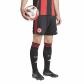 adidas Herren Eintracht Frankfurt Home Short 2025/26 
