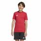 adidas Kinder T-Shirt Entrada 26 Tee Y 