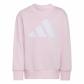 adidas Kinder Trainingsanzug Essentials Kids Jogger 