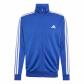 adidas Herren Trainingsanzug Dayready Tracksuit 