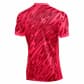 Nike Herren Torwarttrikot Dri-Fit GARDIEN V GK JSY SS FD7482-644 M Laser Crimson/University Red/White | M