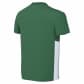 Nike Kinder Trikot Dri-FIT Park Derby IV FD7438-303 128-137 Pine Green/Tour Yellow/White | 128-137