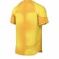 Nike Herren Torwarttrikot Dri-FIT ADV Gardien IV DH7760 