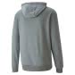 Puma Herren Kapuzenpullover ESS+ TR Hoodie 847415 