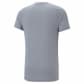 Puma Herren T-Shirt Evostripe Tee 673311 