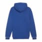 Puma Herren Kapuzenpullover SQUAD Hoodie TR 678969 