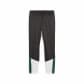 Puma Herren Trainingshose BMG Training Pants 774324 
