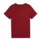 Puma Jungen T-Shirt SQUAD Small Graphic T 682773 