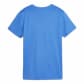 Puma Damen Trikot teamGOAL Jersey Wmn 658638-02 L Electric Blue Lemonade-PUMA White | L