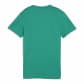 Puma Damen Trikot teamGOAL Jersey Wmn 658638 