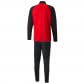 Puma Herren Polyesteranzug teamLIGA Training 657234+657390 