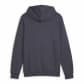 Puma Herren Kapuzenpullover ESS Big Logo Hoodie TR 586689 