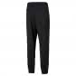 Puma Herren Trainingshose ACTIVE Woven Pants 586733 