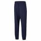 Puma Herren Trainingshose ACTIVE Woven Pants 586733 
