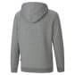 Puma Jungen Hoody ESS+ 2 Col Big Logo Hoodie FL B 586987 