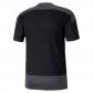 Puma Herren Trainingstrikot teamGOAL 23 Training Jersey 656482 