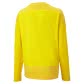 Puma Kinder Sweatshirt teamGOAL 23 Training Sweat Jr 656568 