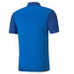 Puma Herren Poloshirt teamGOAL 23 Sideline Polo 656577-02 S Electric Blue Lemonade-Team Power Blue | S