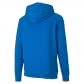 Puma Herren Kapuzenpullover teamGOAL 23 Causals Hoody 656580 