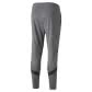 Puma Herren Trainingshose teamFINAL Training Pants 657380 