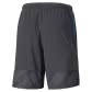 Puma Herren Shorts individualCUP Shorts 657546 