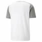 Puma Herren T-Shirt teamCUP Casuals Tee 657992 