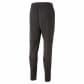 Puma Herren Trainingshose teamCUP Training Pants 658369 