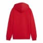 Puma Kinder Kapuzenpullover teamGOAL Casuals Hoody Jr 658619-01 116 Puma Red-Puma White | 116