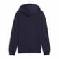 Puma Kinder Kapuzenpullover teamGOAL Casuals Hoody Jr 658619 